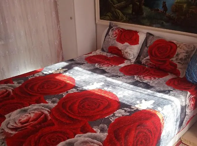 Senojo Turgaus 9 아파트 팔랑가